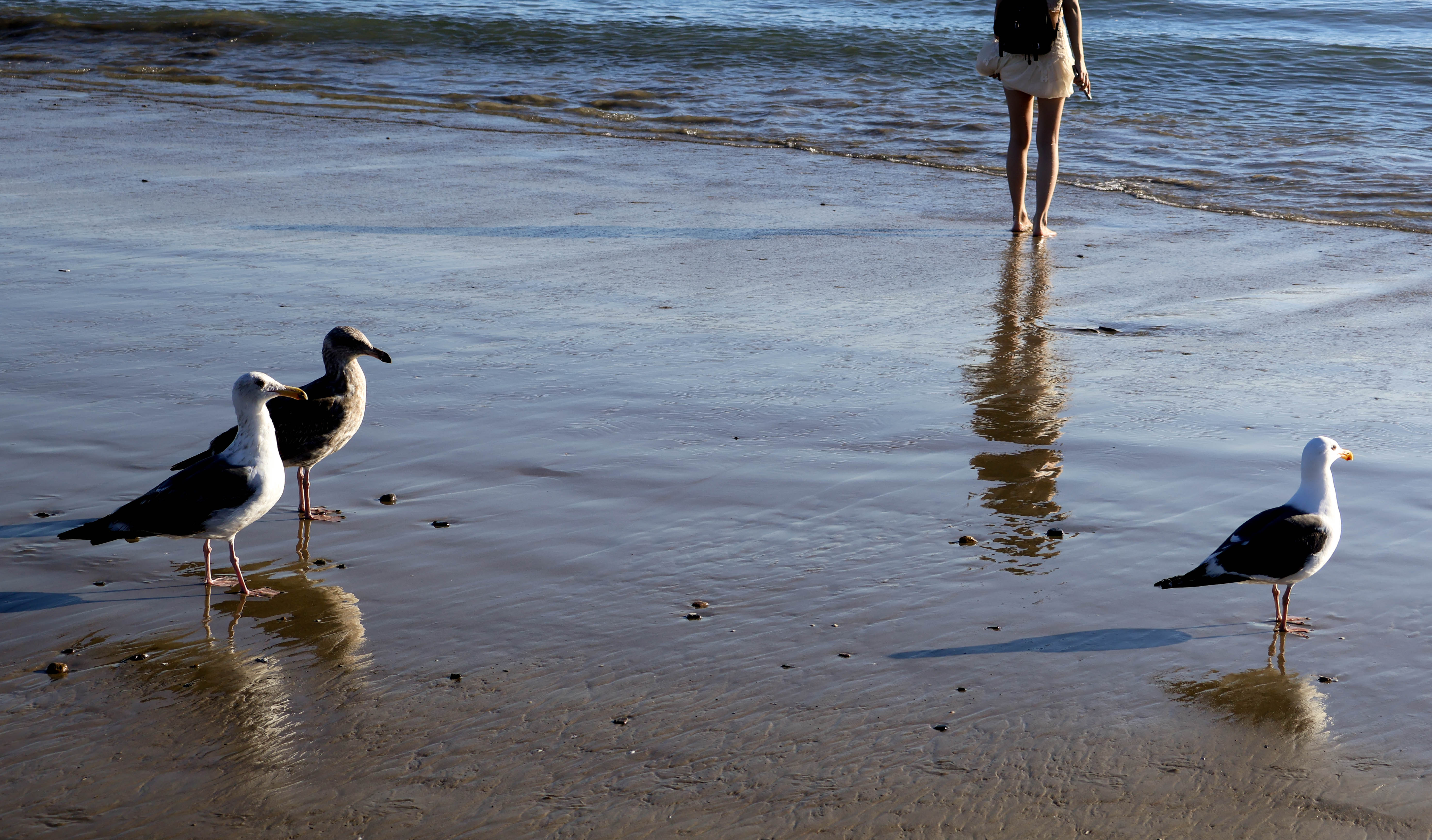 Beach photography