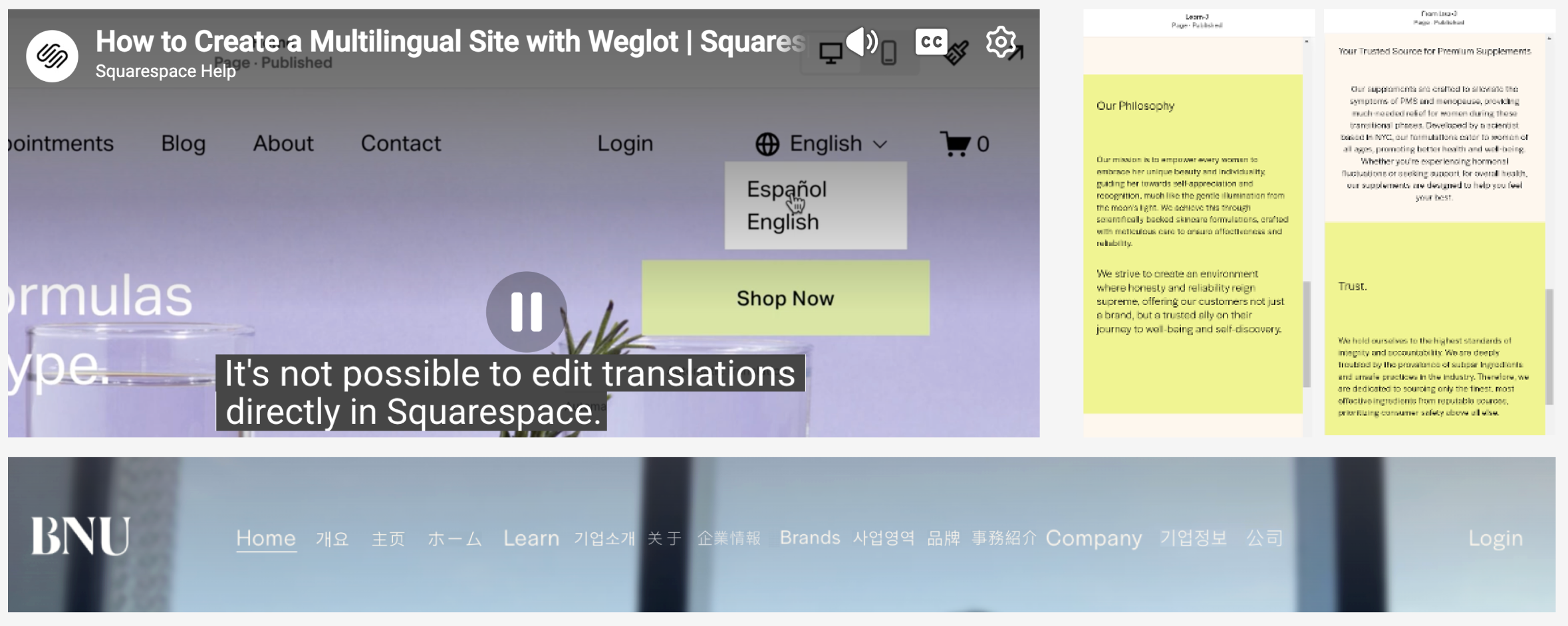 BNU multilingual website challenges