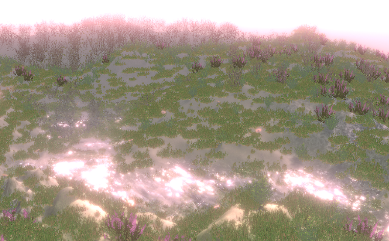 Hair cells environment